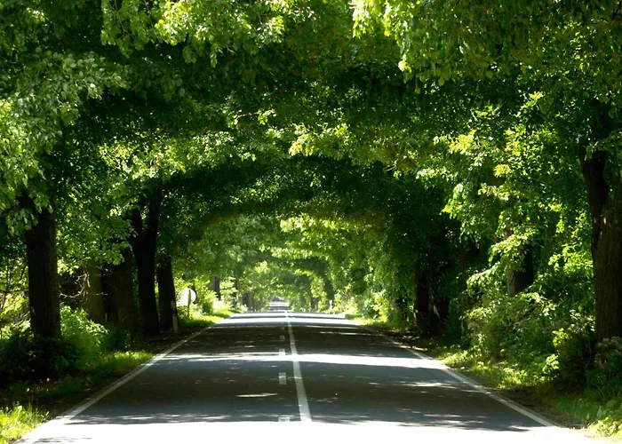 Ruegen Vilm Mit Seeblick Und Sonnenterasse Apartment Sellin (Rugen)